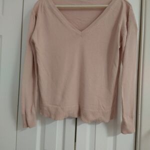 Everlane Soft Pink V-Neck Sweater